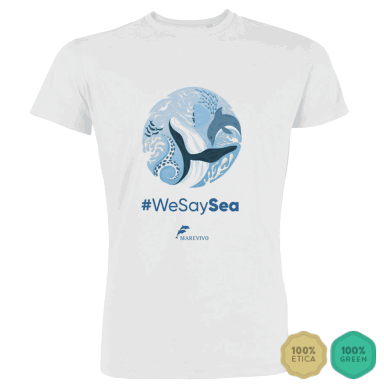 Screenshot 2025-07-24 alle 15.28.10