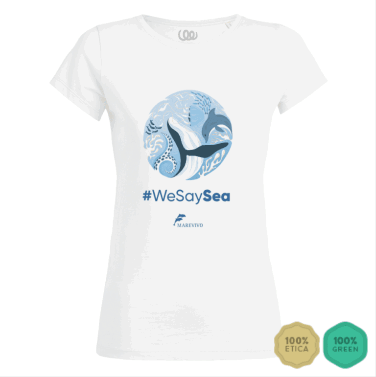 Screenshot 2025-07-24 alle 15.28.20