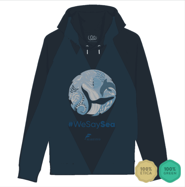 Screenshot 2025-07-24 alle 15.29.07