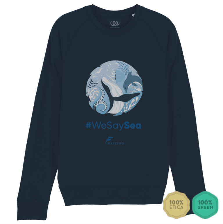 Screenshot 2025-07-24 alle 15.34.40