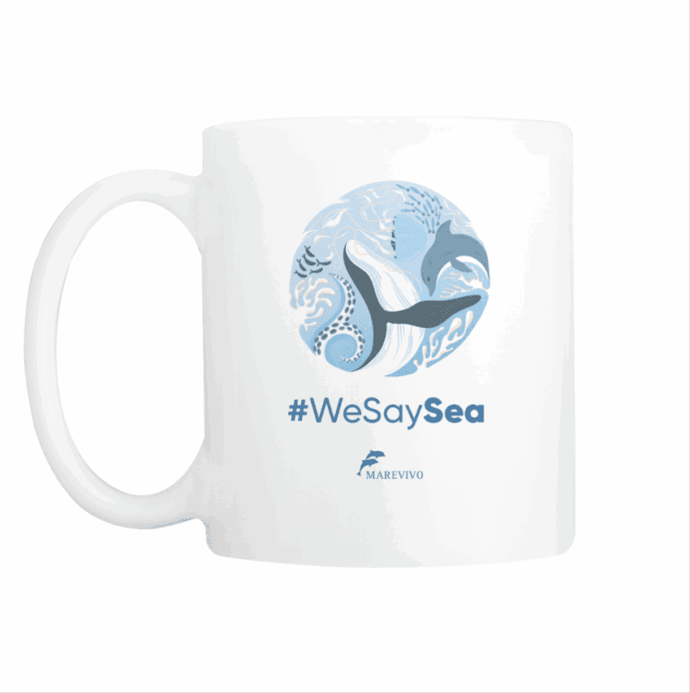 Screenshot 2025-07-24 alle 16.02.31