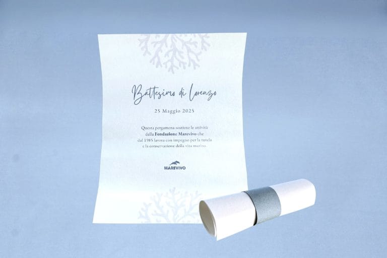 Progetto senza titolo - 3