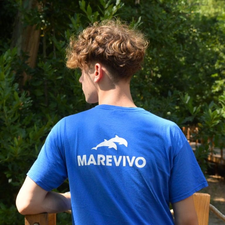 TEMPLATE IG 1080 x 1080 (15 x 15 cm) - 12