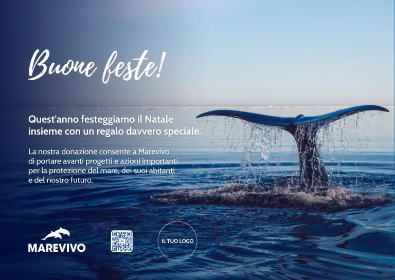 FACSIMILE E-card Natale 2025 – Balena