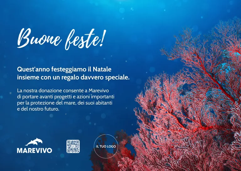 FACSIMILE E-card Natale 2025 – Corallo