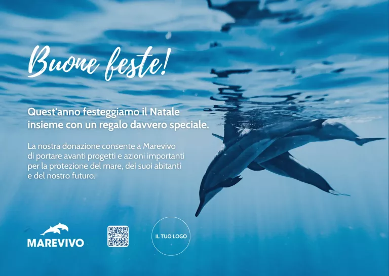 FACSIMILE E-card Natale 2025 – Delfini