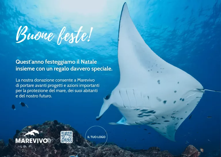 FACSIMILE E-card Natale 2025 – Manta
