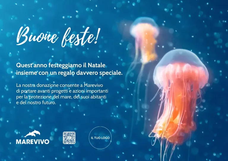 FACSIMILE E-card Natale 2025 – Meduse