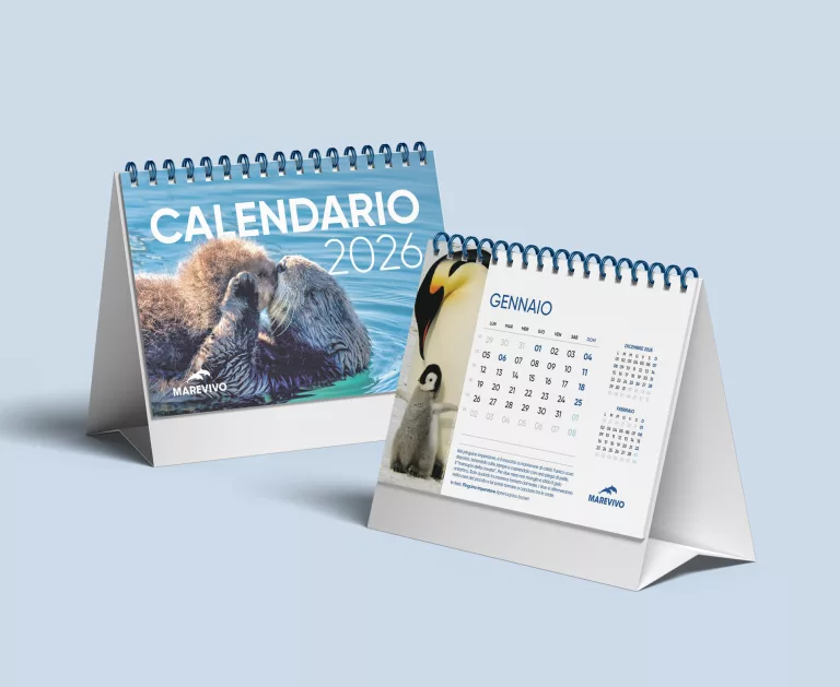 calendario3