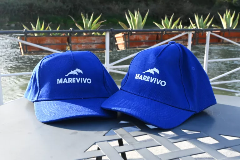 cappello Marevivo