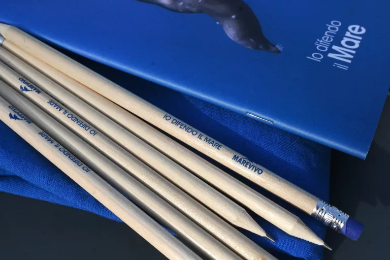 matite Marevivo (4)