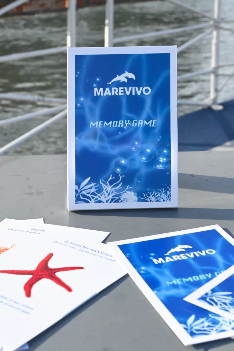 memory game Marevivo (2)