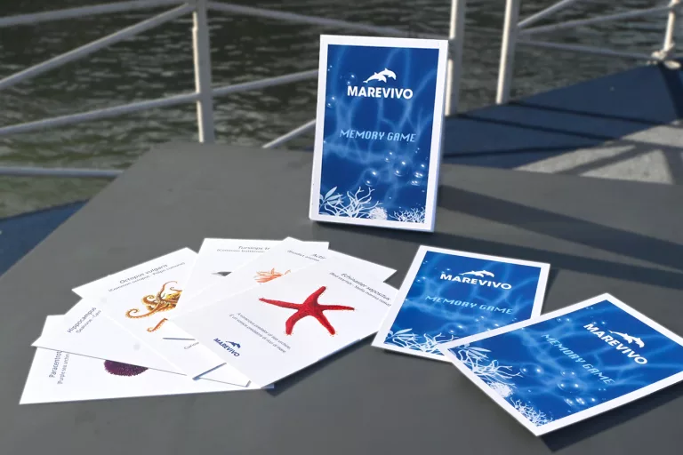 memory game Marevivo (3)