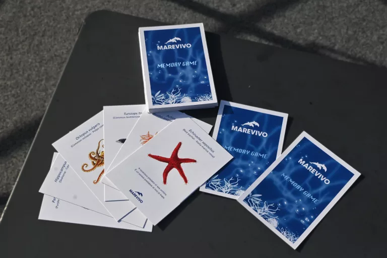 memory game Marevivo (4)